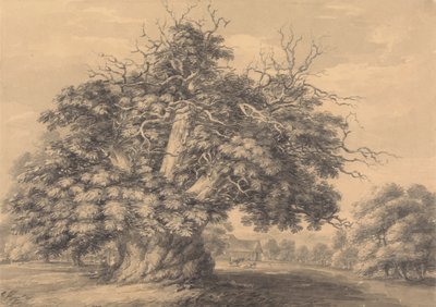 A gesztenyefa Little Wymondley-ban, Hertfordshire-ben alkotó: Thomas Hearne