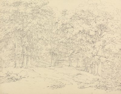 Fák az Ashtead Parkban, Surreyben alkotó: Thomas Hearne