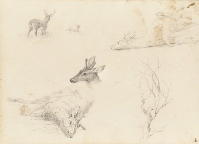 Vázlatfüzet táj- és állattantárgyakról, 1860-64. alkotó: Thomas Hewes Hinckley