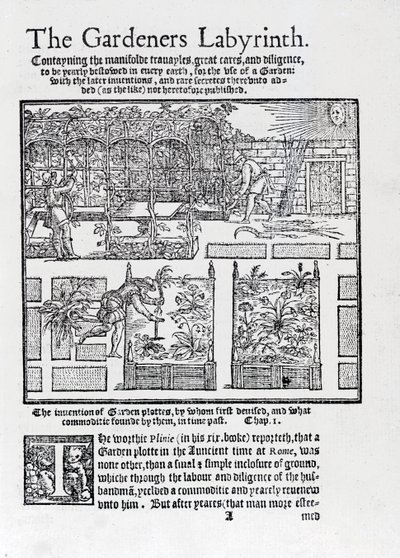 Nappal szemben árnyékolóként épített lugas, amelyet magaságyásokba ültetnek, a Kertészek labirintusából, 1577 alkotó: Thomas Hill
