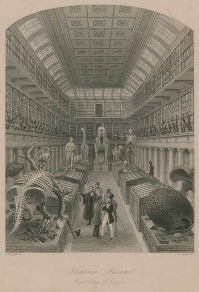 Hunterian Múzeum, Royal College of Surgeons, London alkotó: Thomas Hosmer Shepherd