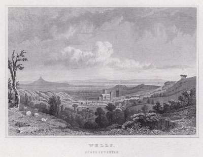 Wells, Somersetshire (metszet) alkotó: Thomas Hosmer Shepherd