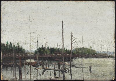 Vízbefulladt föld, 1912 (olaj, papír (dombornyomott vászon textúrával) fán) alkotó: Tom Thomson