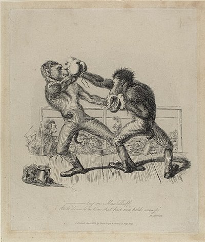 Monkeys Boxing, a Monkey-ana-ból alkotó: Thomas Landseer