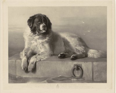 Portré a mentőkutyáról, Bobról, aki egy mólón fekszik A Humane Society kitüntetett tagja (cím a tárgyon) alkotó: Thomas Landseer