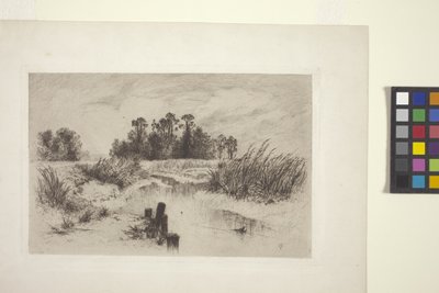 Mocsaras táj patakkal (rézkarc papírra) alkotó: Thomas Moran