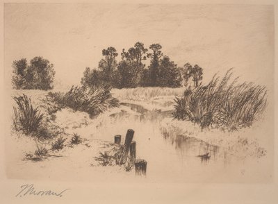 Passaic Meadows (Newark Meadows-ban) alkotó: Thomas Moran