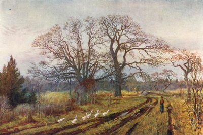  alkotó: Thomas Mower Martin