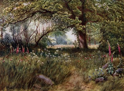 Kew Gardens: A Queen