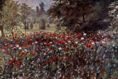 Kew Gardens: The Poppy Beds (színes litho) alkotó: Thomas Mower Martin
