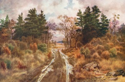 Út a Fundy-öböl közelében, ősz (színes litográfia) alkotó: Thomas Mower Martin