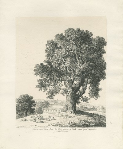 Shugborough Park - Ash Tree: toll- és tusrajz alkotó: Thomas Peploe Wood