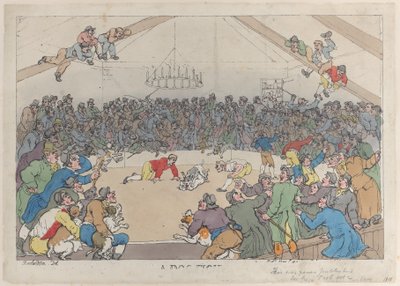 Kutyaviadal, 1811. május 1., 1811. május 1. alkotó: Thomas Rowlandson
