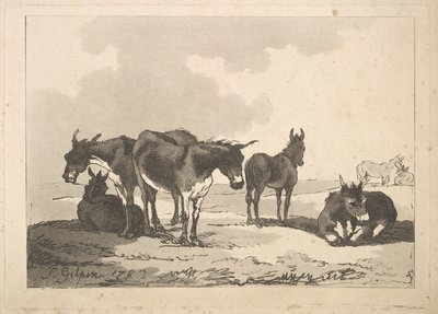 Egy csoport öt szamár, három álló, két fekvő, 1783-87. alkotó: Thomas Rowlandson
