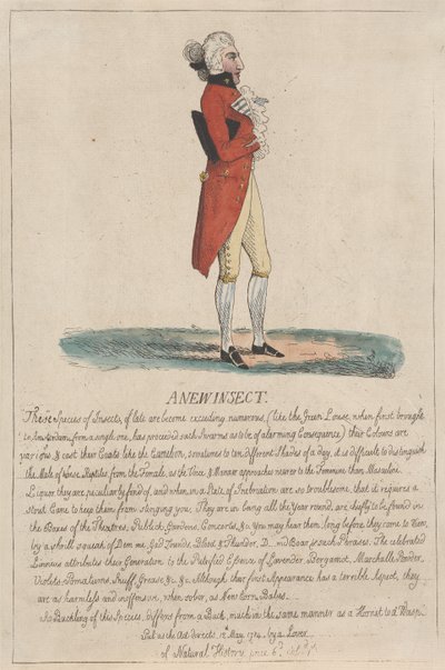 Egy új rovar alkotó: Thomas Rowlandson