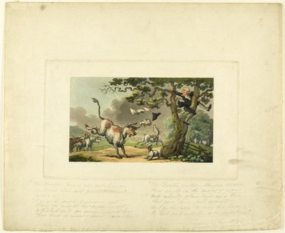 Az orvos szintaxisa, amelyet egy bika üldöz, a The Tour of Doctor Syntax-ból alkotó: Thomas Rowlandson