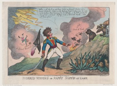 Horrid Visiions of Nappy Napp