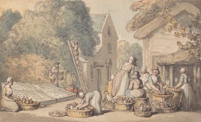 Eperfa-gyümölcs szedése alkotó: Thomas Rowlandson