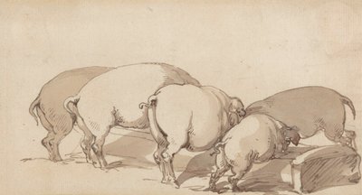 Disznók a vályúnál, 1790 körül (grafit tollal és tintával és barna mosással papíron) alkotó: Thomas Rowlandson