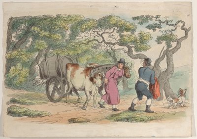 40. tábla, a Miniatűr világból, 1816., 1816. alkotó: Thomas Rowlandson