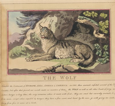 Nyolc darabos sorozat címlappal. „Külföldi és hazai állatok.” 5. A farkas alkotó: Thomas Rowlandson