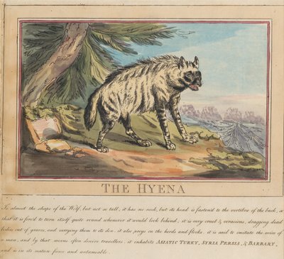 Nyolcrészes sorozat címlappal. „Külföldi és hazai állatok.” 6. A hiéna alkotó: Thomas Rowlandson