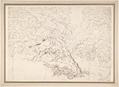 A fák tanulmányozása alkotó: Thomas Rowlandson