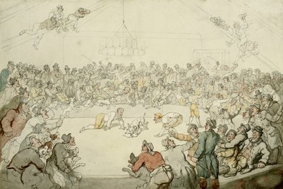 A Westminster Pitt, 1798 alkotó: Thomas Rowlandson
