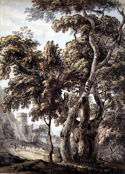 Fák tanulmányozása (toll és tinta és akvarell papíron) alkotó: Thomas Sandby
