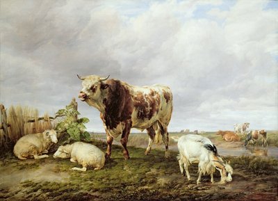 Szarvasmarha a réten alkotó: Thomas Sidney Cooper