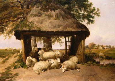 Menedék alatt pihenő juhok alkotó: Thomas Sidney Cooper