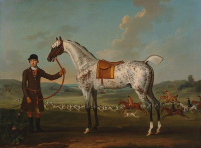 Scipio, egy foltos vadász, Roche ezredes tulajdona alkotó: Thomas Spencer