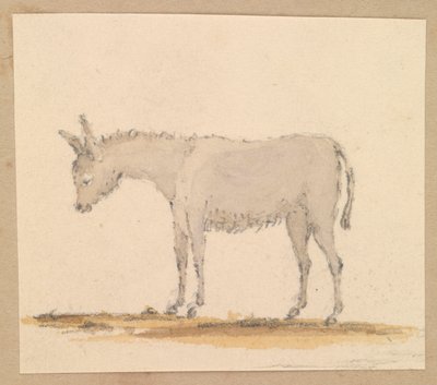 Szamártanulmány, 1820 körül (toll, tus, tus, vízfesték, akvarell) alkotó: Thomas Streatfeild