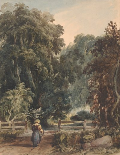 Lány a sávon, erdős területre belépve alkotó: Thomas Sully