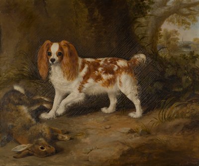 Spániel döglött nyúllal, 1822-74 körül (olaj, vászon) alkotó: Thomas W. Bretland