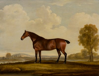 Georgiana: egy ló, 1819 körül (olaj, vászon) alkotó: Thomas Weaver