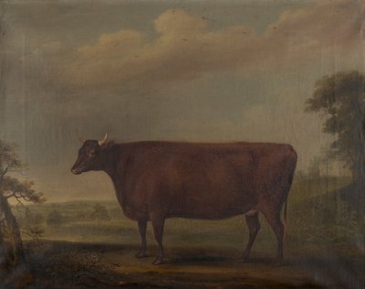Vörös devoni üszők tájban, 1812 körül (olaj, vászon) alkotó: Thomas Weaver