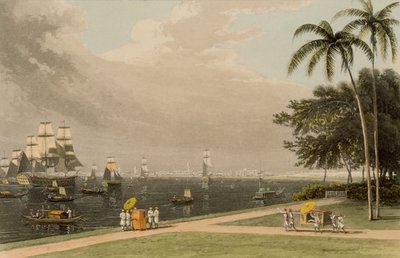 Kalkutta kilátása a kertből, 1810 alkotó: Thomas und William Daniell