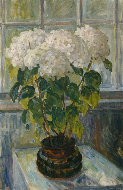 Hortenzia alkotó: Thorolf Holmboe