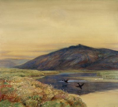 Táj madarakkal alkotó: Thorolf Holmboe