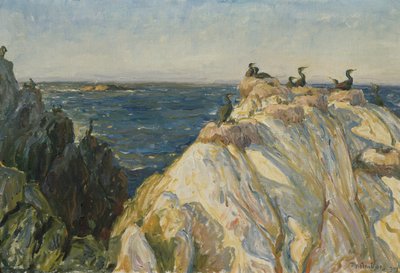 Tengeri madár alkotó: Thorolf Holmboe