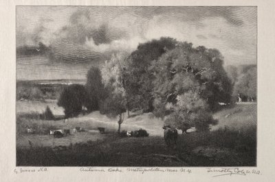 Őszi tölgyek alkotó: Timothy Cole
