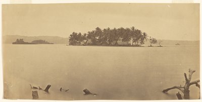 [Darién-földszoros (Panama)] alkotó: Timothy H. O