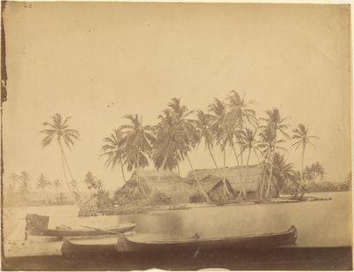 [Limón-öböl, Darién-folyó (Panama)] alkotó: Timothy H. OSullivan