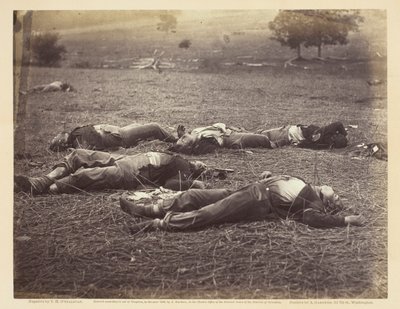 A mező, ahol Reynolds tábornok elesett, Gettysburg alkotó: Timothy O