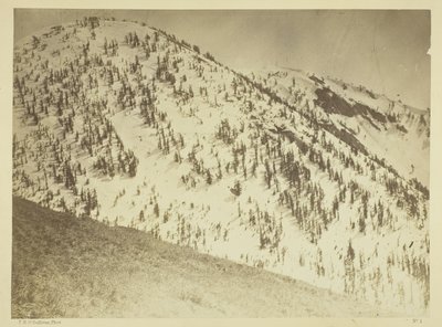 Snow Peaks, Bull Run bányászati körzet, Nevada alkotó: Timothy O