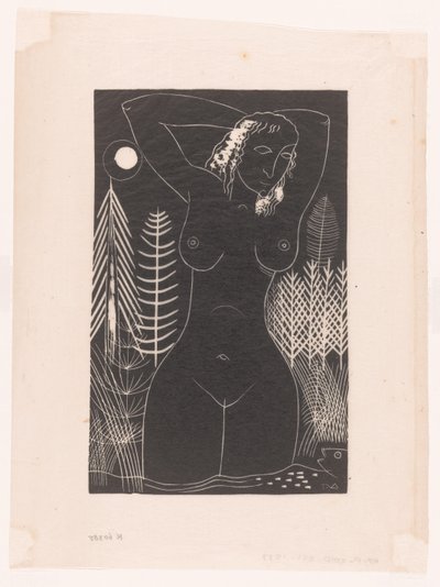Eva alkotó: Tinus van Doorn (signed by artist)