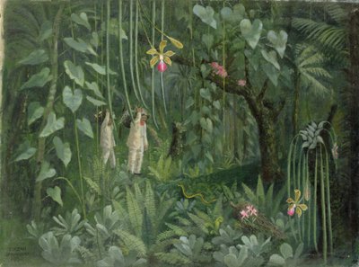 Brazília orchideavadászai alkotó: Tirzah Ravilious