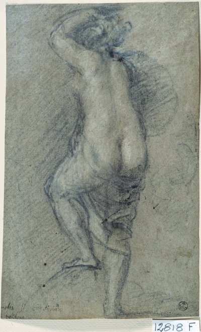 Meztelen nő (kréta papíron) alkotó: Titian (c.1488 1576)