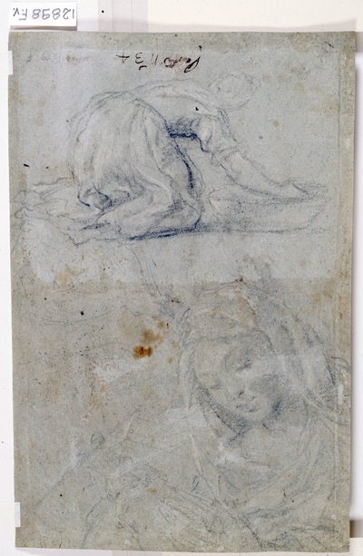 Studien der Jungfrau von Titian (c.1488-1576)